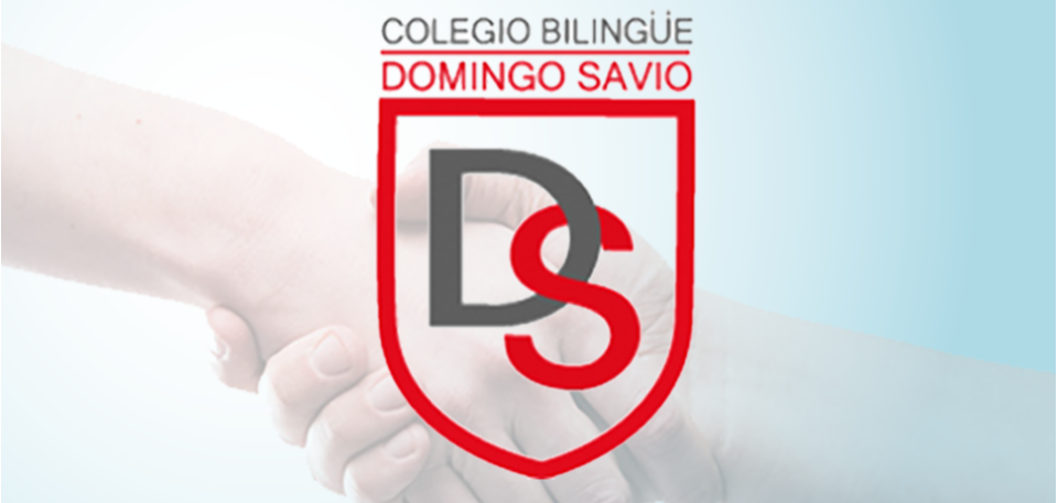 Amoblando Ambientes Educativos - Colegio Domingo Savio 