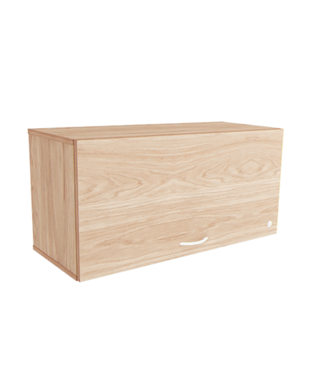 Estante suspendido con puerta 